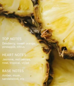 CAIA Cosmetics Parfym<AMICI