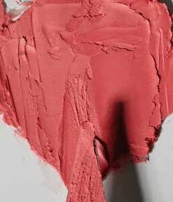 CAIA Cosmetics Makeup Sticks|Blush<BLUSH STICK