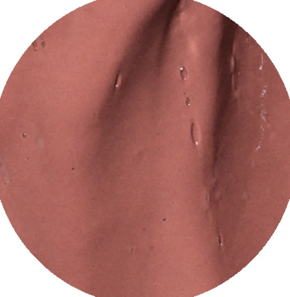 CAIA Cosmetics Spf|Läppstift<GLOSSY LIPSTICK