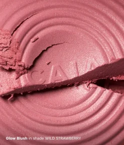 CAIA Cosmetics Blush|Highlighter<GLOW KIT