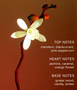 CAIA Cosmetics Parfym<LE SOIR