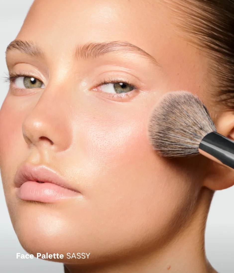 CAIA Cosmetics Presentset<PERFECT GIFT KIT