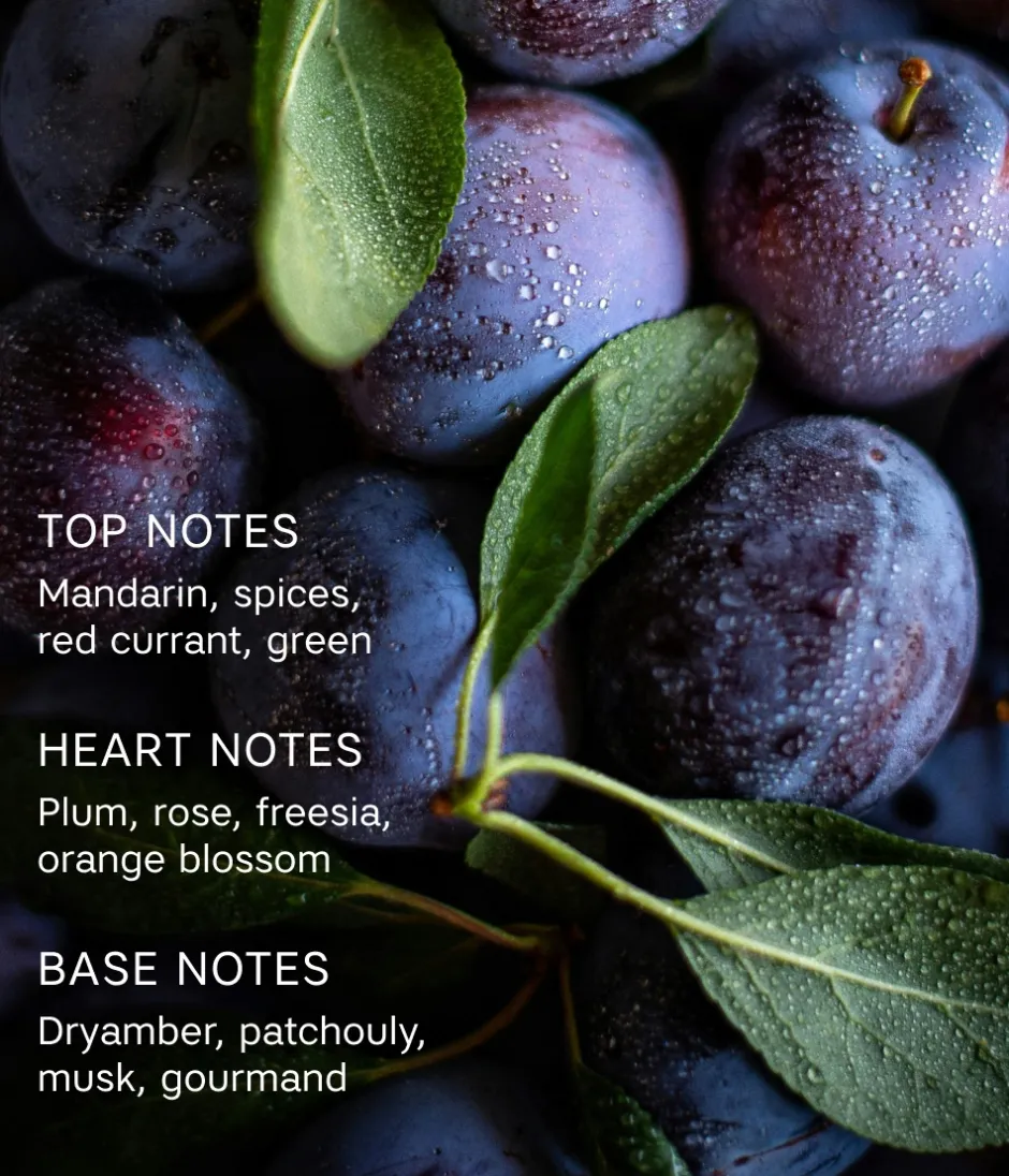 CAIA Cosmetics Parfym<SENSO