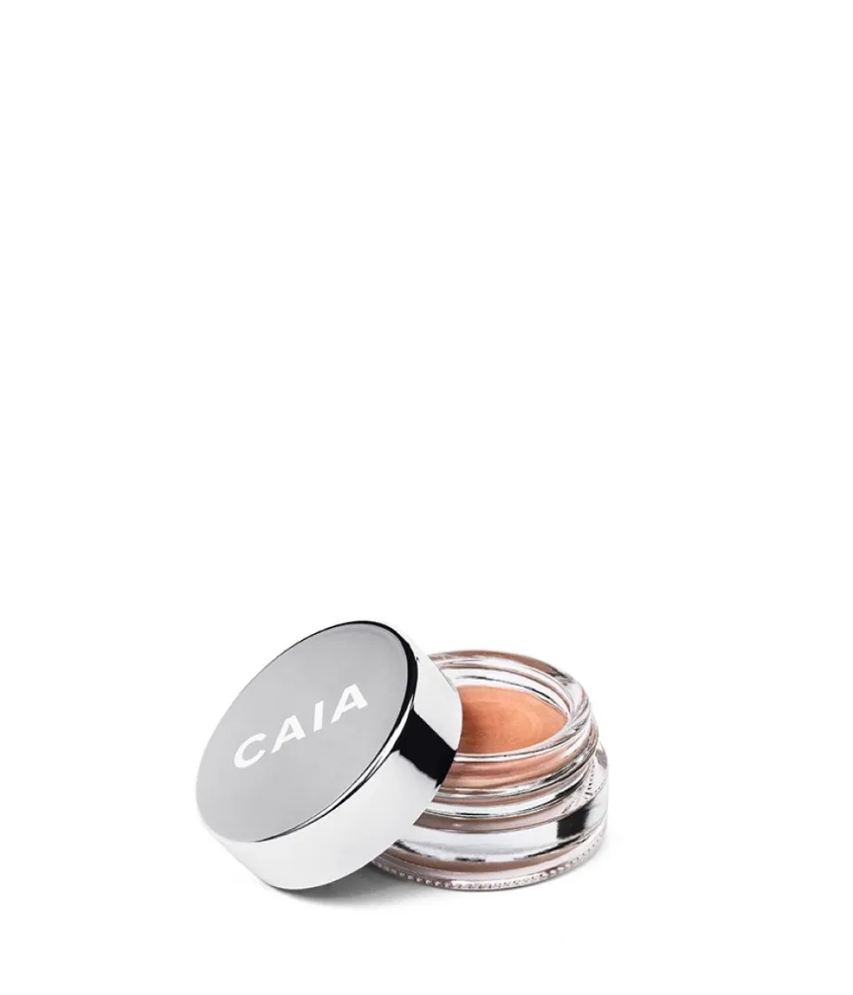 CAIA Cosmetics Concealer|Primer<WAKE ME UP CREAM